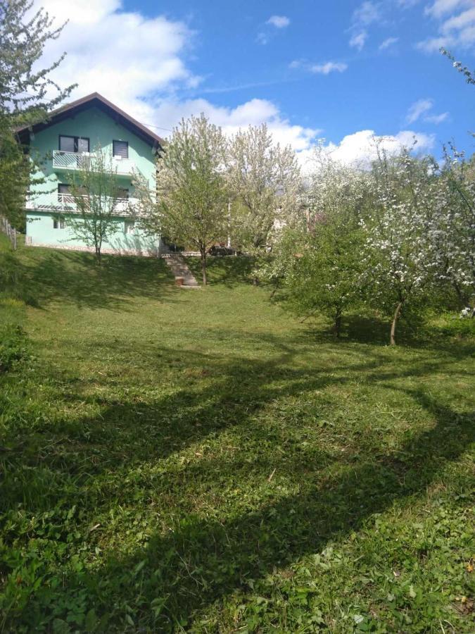 House Casa vacanze *